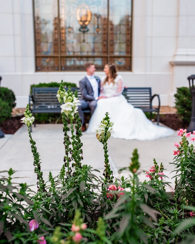 Weddings photography